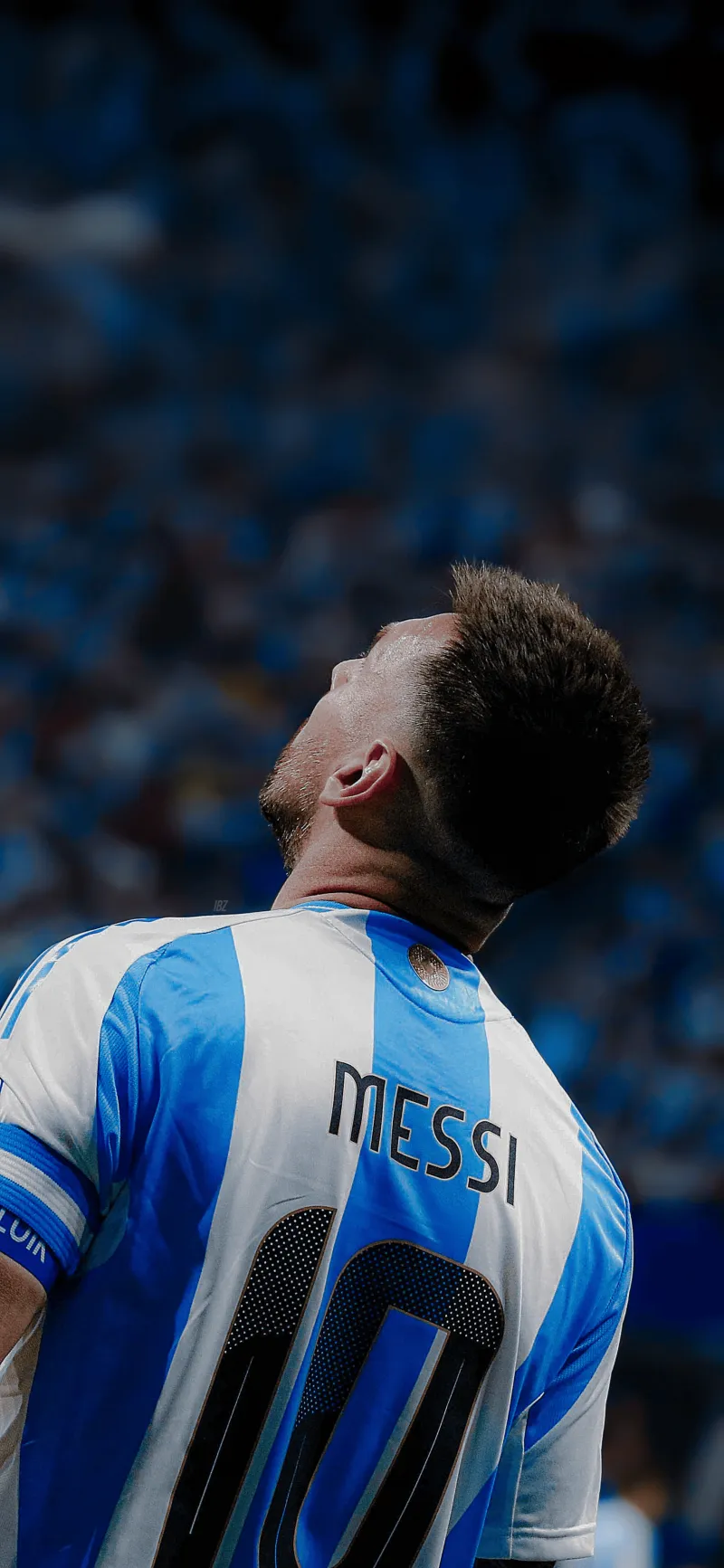 开云体育入口-高尔夫明星梅西将伤退的简单介绍