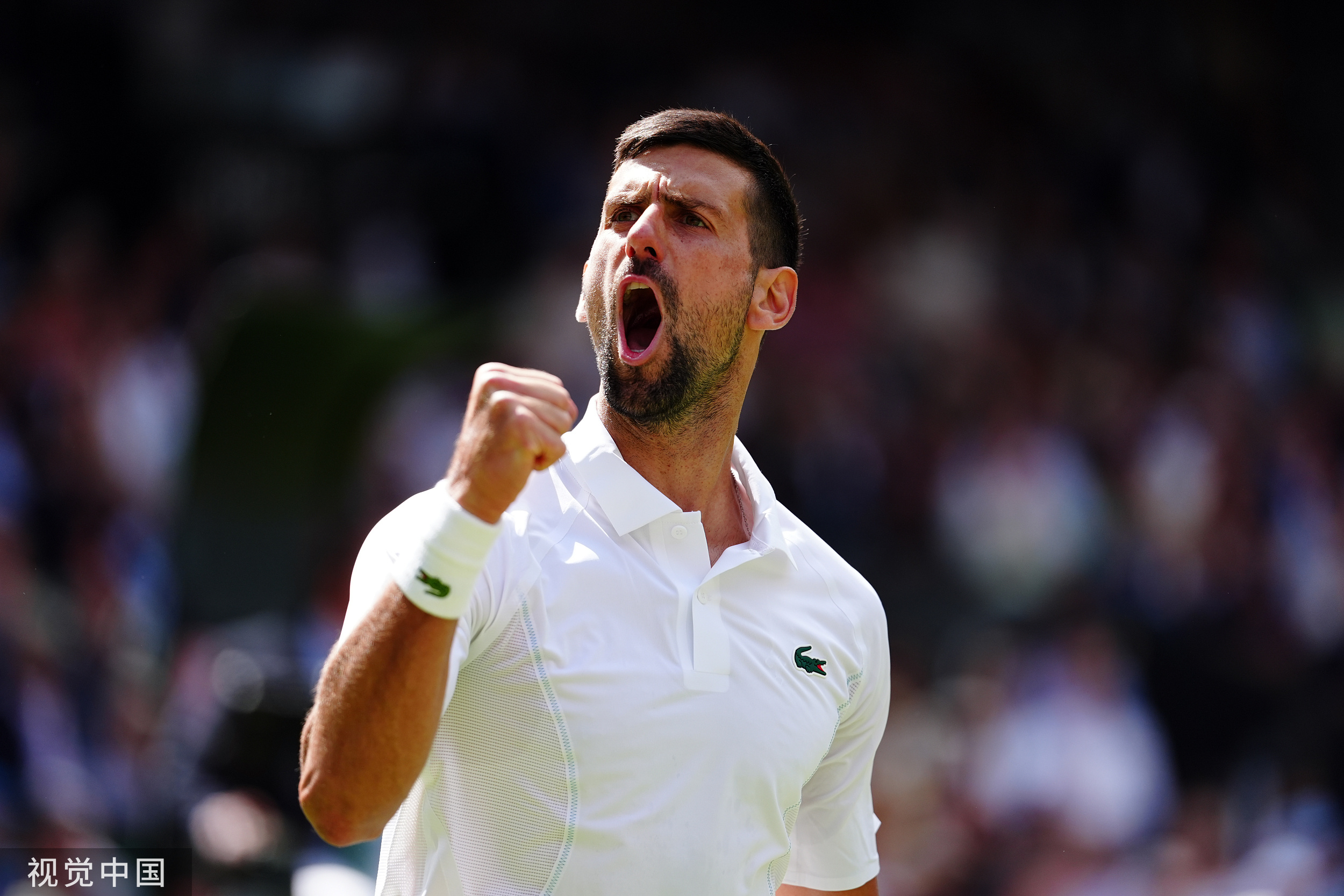 温网鏖战戴维斯杯,德约科维奇惊艳四座的简单介绍 温网鏖战戴维斯杯,德约科维奇惊艳四座的简单介绍