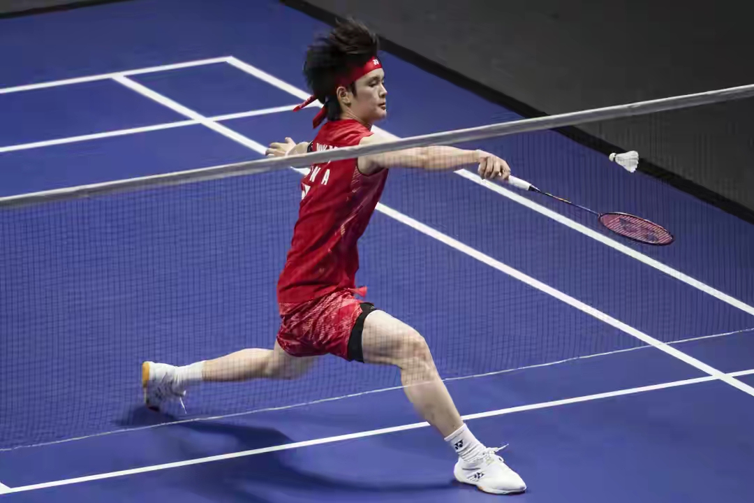 开云体育官网-印尼队险胜丹麦队，安赛龙点燃赛场的简单介绍